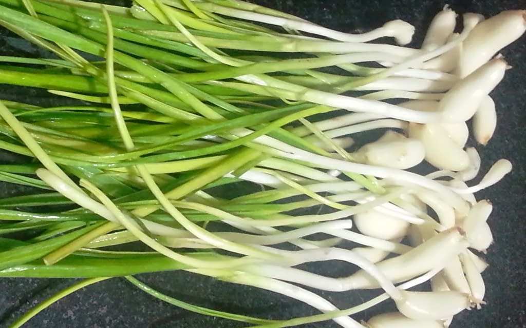 Green garlic