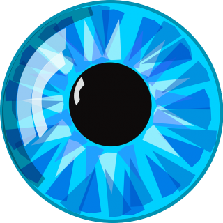 eye pupil